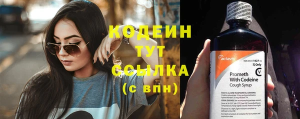 дурь Богородицк